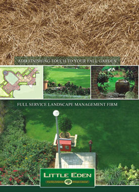 Brochure for Landscaping and Gardening services